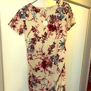 Pink Blush Maternity Dress